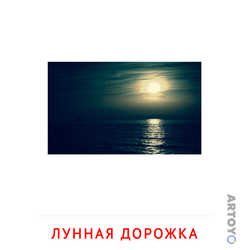 Линная дорожка — карточка Домана для распечатки