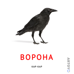 Карточка Домана Карточка Домана звукоподражание «Ворона», чёрно-белый контур