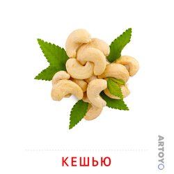 Карточка Домана Кешью — А4