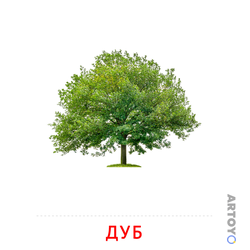 Карточки Домана на тему «Листья и деревья — картинки для печати