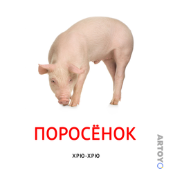 Карточка Домана «Карточка Домана звукоподражание «Поросёнок»» из категории Карточки Домана для самых маленьких