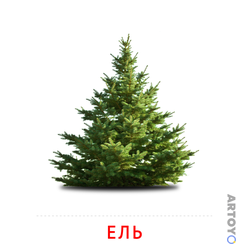 Карточки Домана на тему «Листья и деревья: карточка Домана Ель