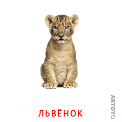 Львёнок — карточка Домана для распечатки