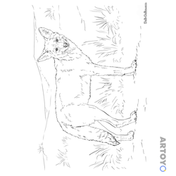 Раскраска Койот — А4