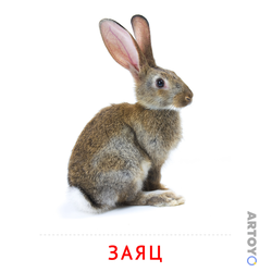 Заяц — карточка Домана для распечатки