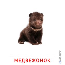 Карточка Домана Медвежонок