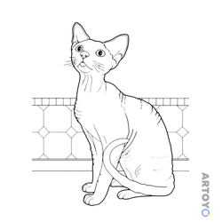 Коты кошки, котят: раскраска Кошка просит, чтобы её покормили