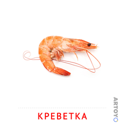 Креветка — карточка Домана для распечатки