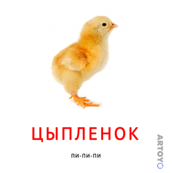 Карточки Домана для самых маленьких: карточка Домана Карточка Домана звукоподражание «Цыплёнок»