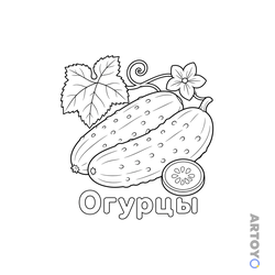 Раскраска Огурцы, чёрно-белый контур