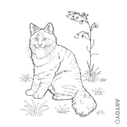 Раскраска Кот и колокольчики, чёрно-белый контур