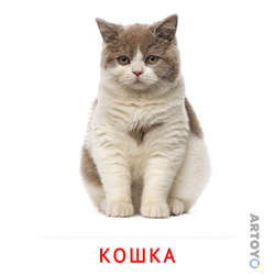 Кошка — карточка Домана для распечатки