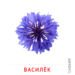 Карточка Домана Василёк, чёрно-белый контур