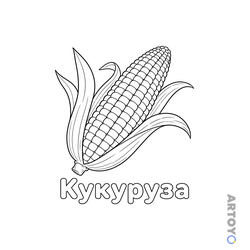 Кукуруза — раскраска для распечатки