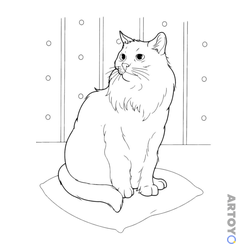 Раскраска Кот в задумчивости