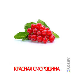 Карточка Домана «Красная смородина» из категории Карточки Домана для детей на тему «Фрукты и ягоды