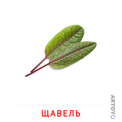 Карточка Домана Щавель, чёрно-белый контур