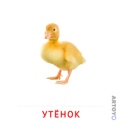 Карточка Домана Утёнок, чёрно-белый контур