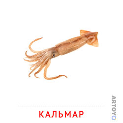 Карточка Домана Кальмар, чёрно-белый контур