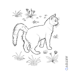 Раскраска Кошка на лужайке