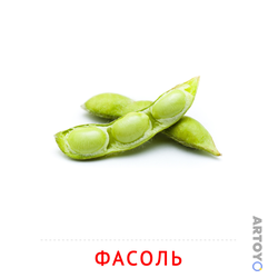 Фасоль — карточка Домана для распечатки