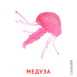 Карточка Домана Медуза, чёрно-белый контур