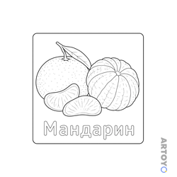 Фрукты: раскраска Мандарин