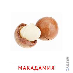 Карточки Домана на тему «Орехи и сухофрукты: карточка Домана Макадамия