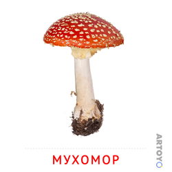 Карточка Домана «Карточка Домана «Мухомор»» из категории Карточки Домана для самых маленьких