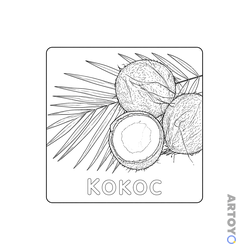 Раскраска Кокос