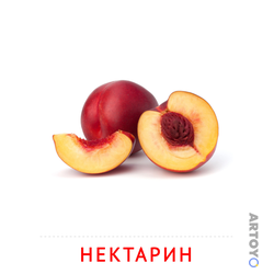 Карточка Домана «Нектарин» из категории Карточки Домана для детей на тему «Фрукты и ягоды