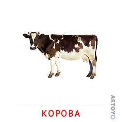 Карточка Домана Корова — А4