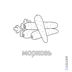 Четыре крупные моркови, сложенные крест-накрест, две моркови с пышной ботвой