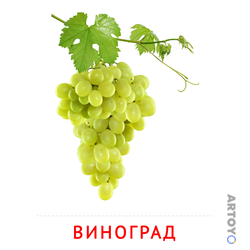 Карточка Домана Виноград — А4