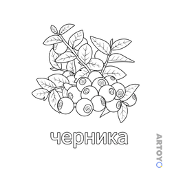 Ягода черника — раскраска для распечатки