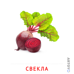 Карточка Домана «Свекла» из категории Карточки Домана на тему «Овощи и травы
