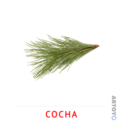 Ветка сосны — карточка Домана для распечатки