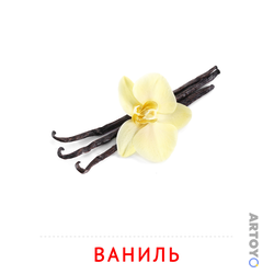 Карточки Домана на тему «Овощи и травы: карточка Домана Ваниль