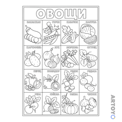 Учебный плакат «Овощи» с шестнадцатью подписанными растениями в отдельных клетках