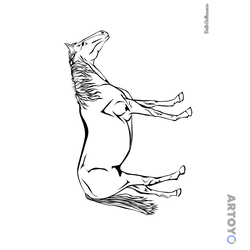 Раскраска Изысканная лошадь — А4