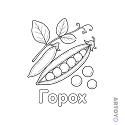 Раскраска Горох