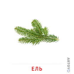 Карточка Домана Ветка ели, чёрно-белый контур