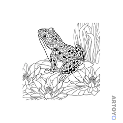 Лягушки — картинки для печати