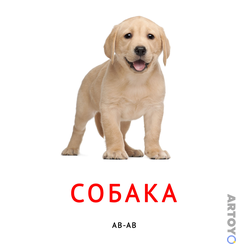 Карточка Домана Карточка Домана звукоподражание «Собака»