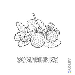 Раскраска «Ягода земляника» из категории Ягоды