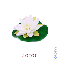 Лотос — карточка Домана для распечатки