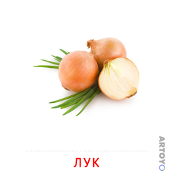 Лук — карточка Домана для распечатки