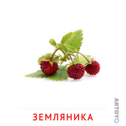Карточка Домана Земляника