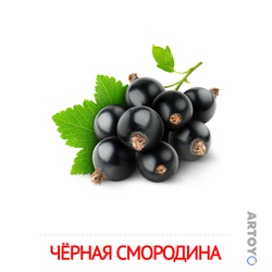 Карточка Домана Чёрная смородина — А4
