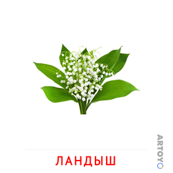 Карточки Домана на тему «Цветы: карточка Домана Ландыш